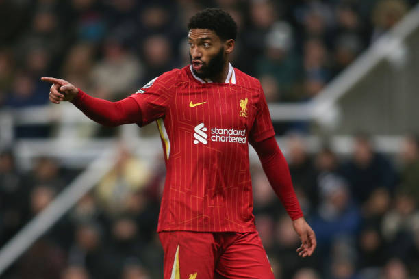 归化球员才 归化球员才