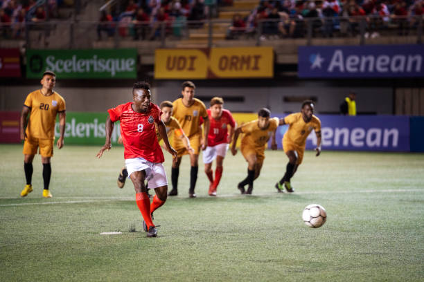 世界展示何 世界展示何