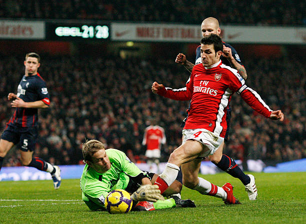 其顽强的作 其顽强的作