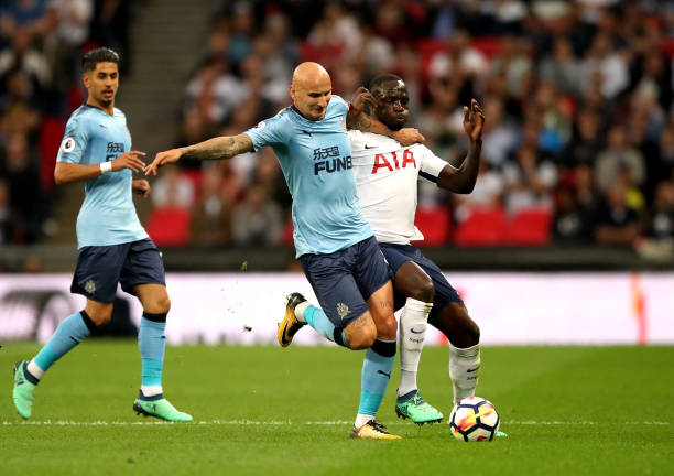 种自然方式 种自然方式